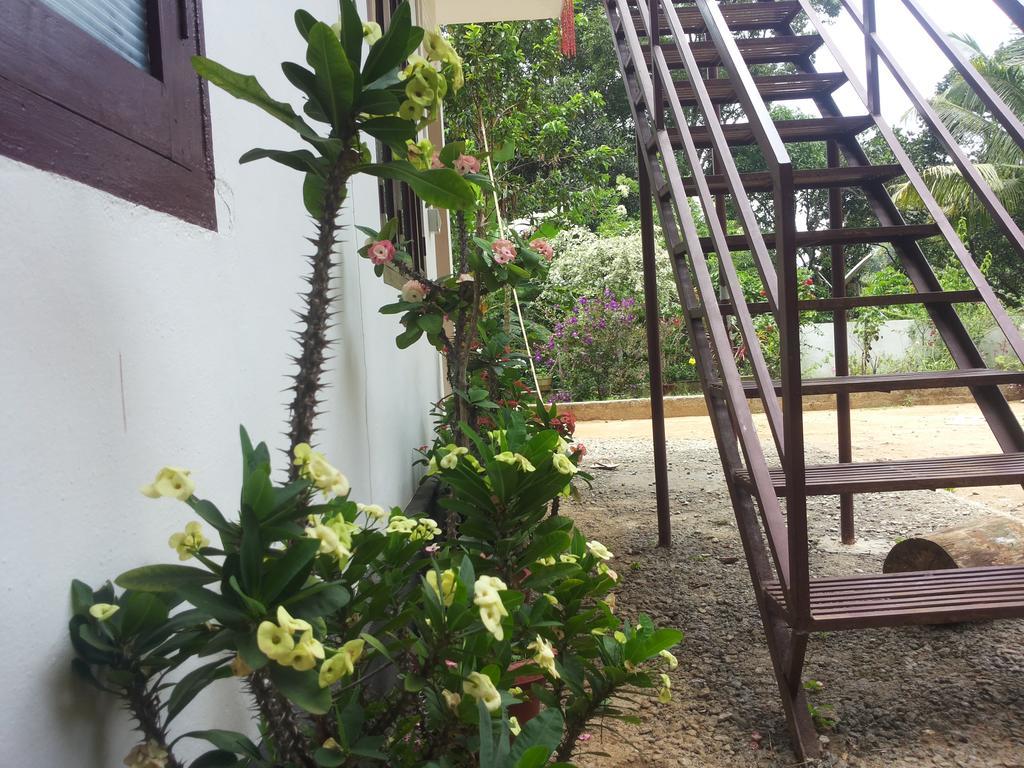מונאר Athens Cottage מראה חיצוני תמונה