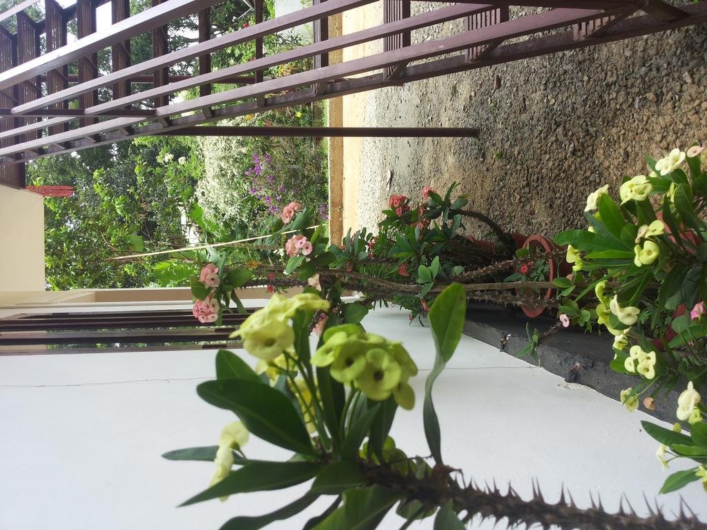 מונאר Athens Cottage מראה חיצוני תמונה