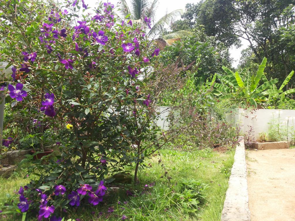 מונאר Athens Cottage מראה חיצוני תמונה