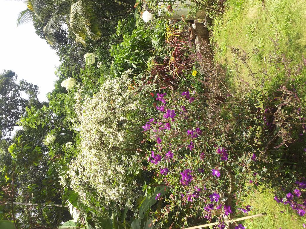 מונאר Athens Cottage מראה חיצוני תמונה